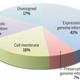 Syn3.0 has 473 genes, of which 79 have no apparent function. The remainder can be assigned to four major functional groups. Credit: Hutchison et al., 2016/Science
